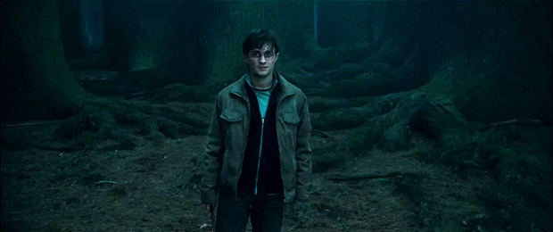 Harry Potter And The Deathly Hallows Part 2(2011) Dvdrip Xvid-Sk
